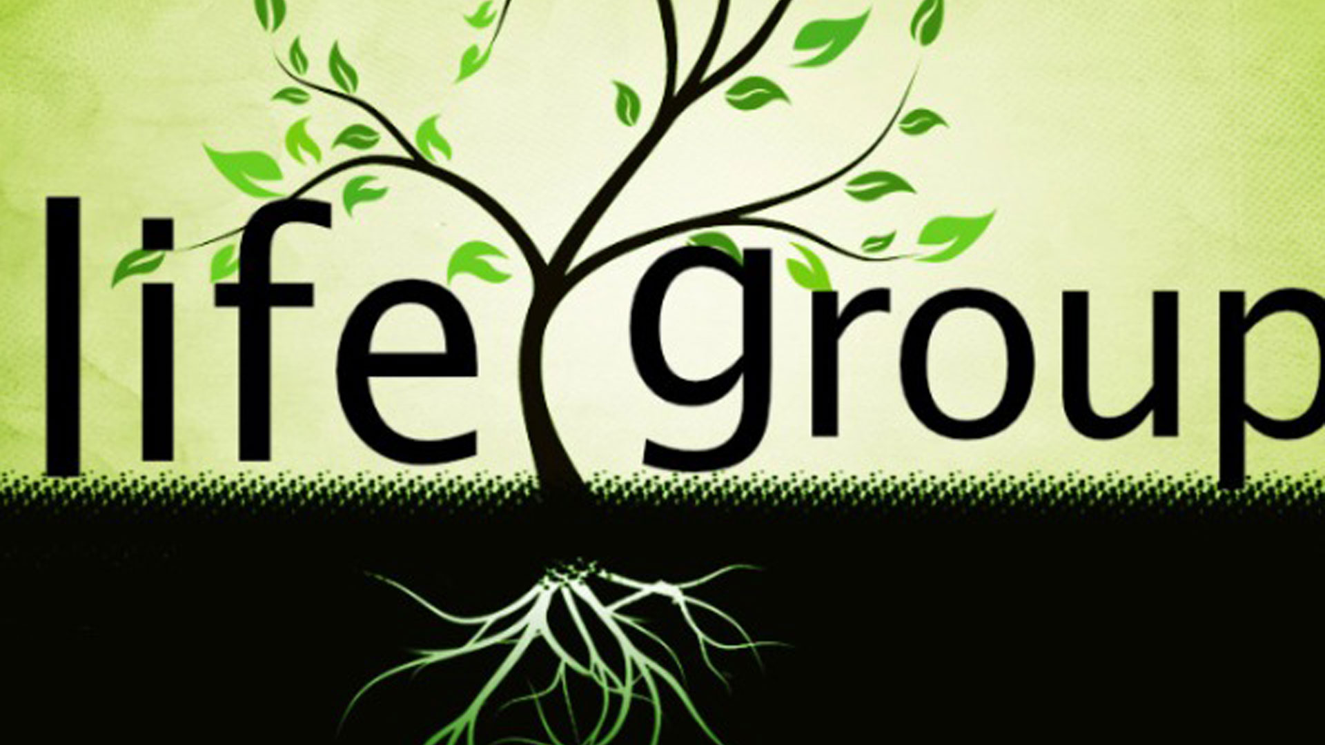 Lifegroups